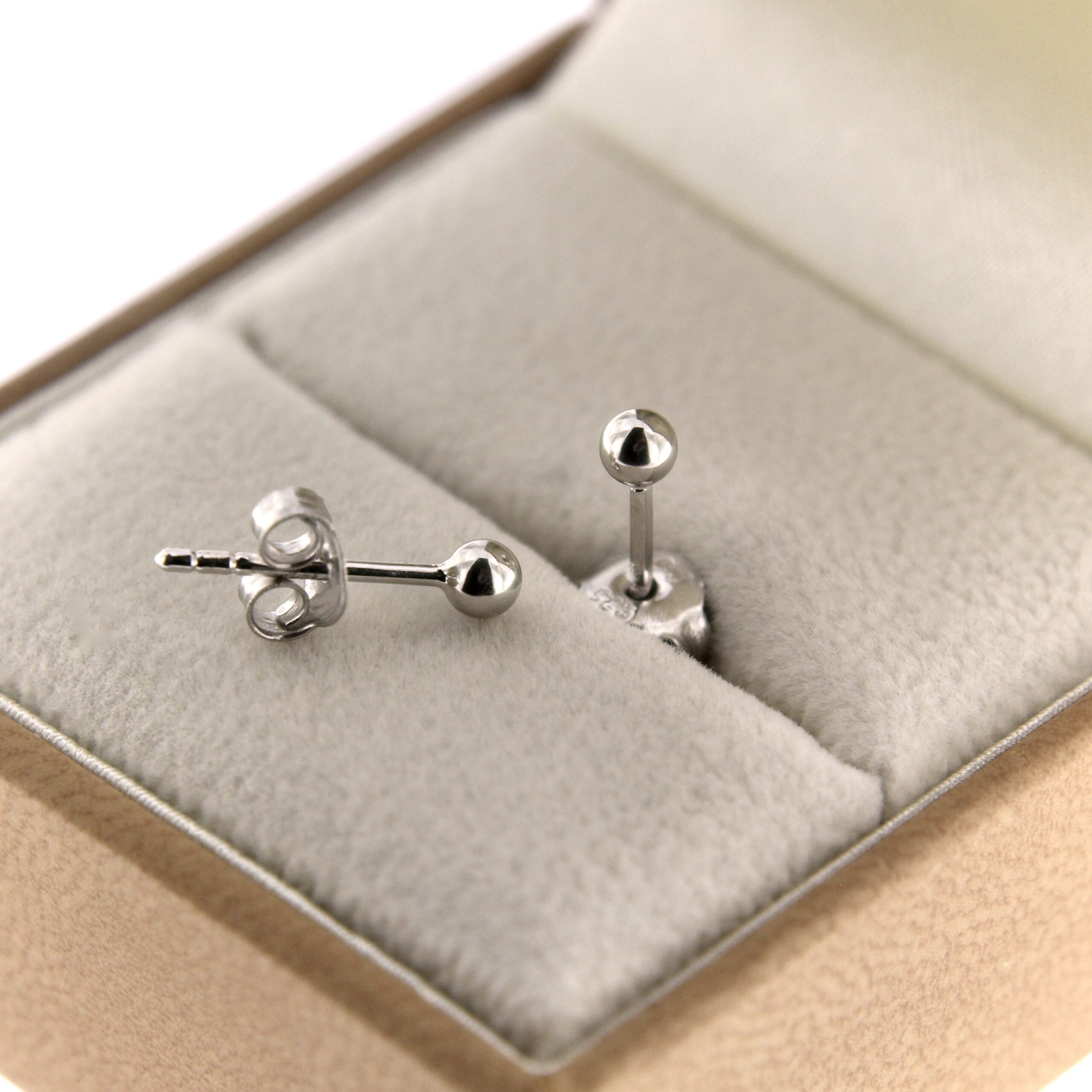 Hõbekõrvarõngad