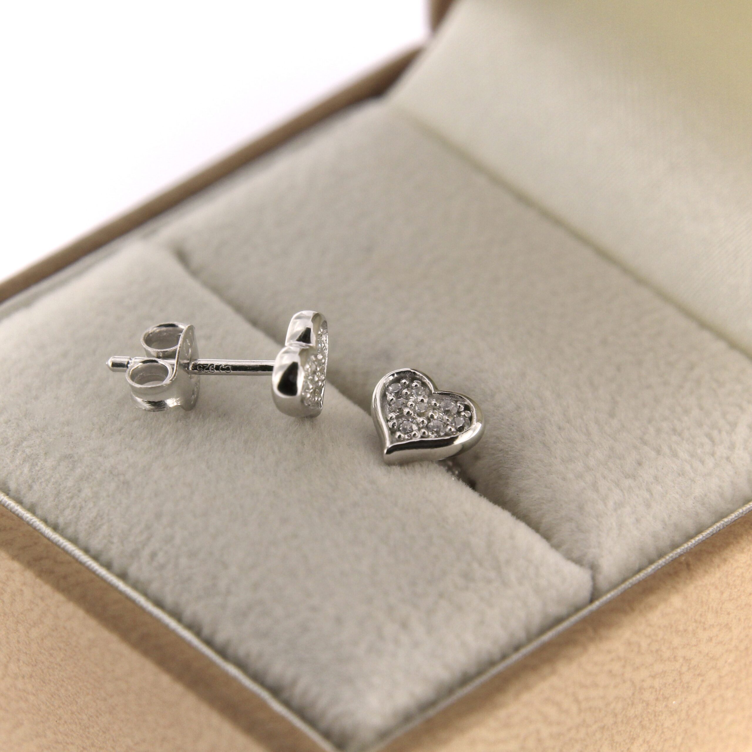 Hõbekõrvarõngad