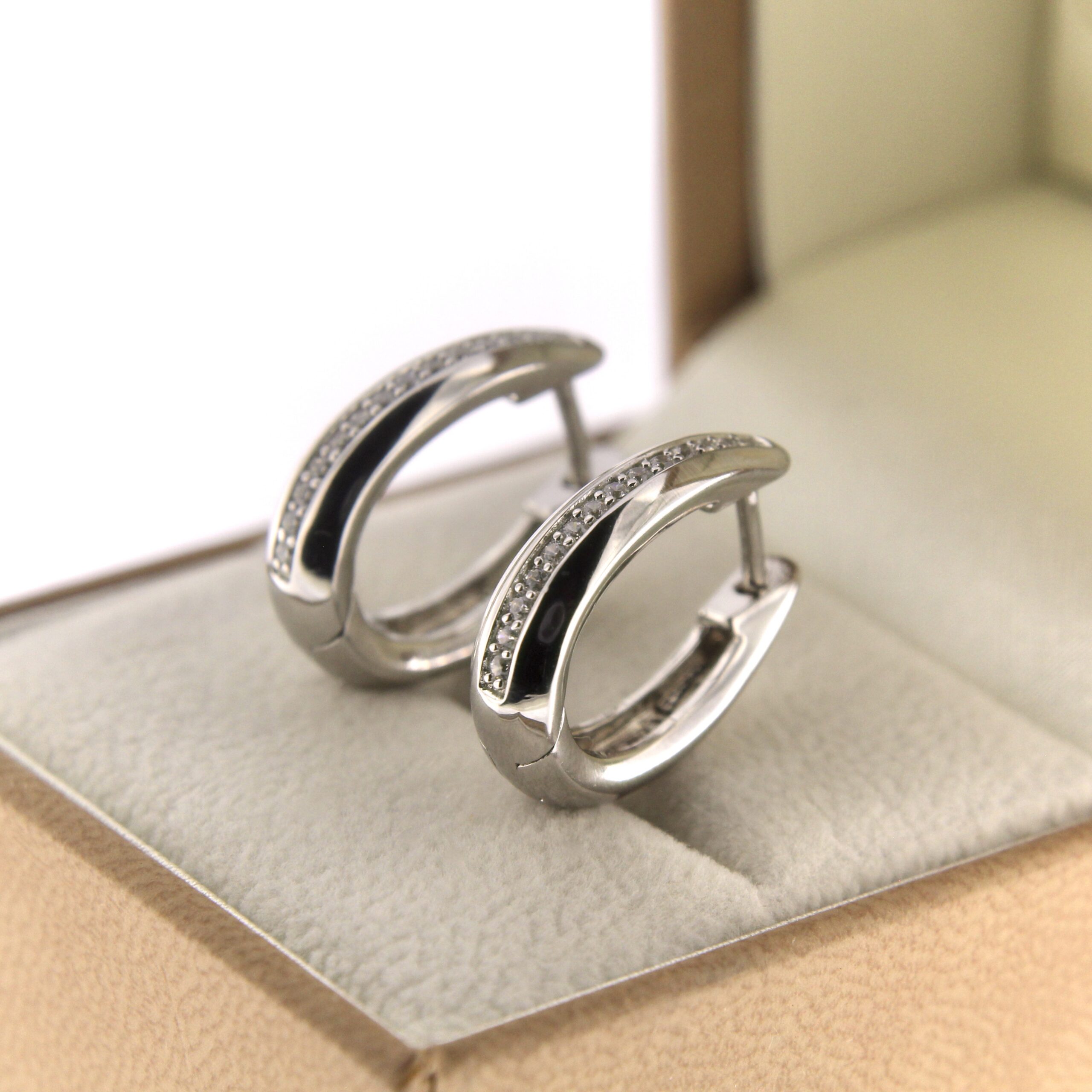 Hõbekõrvarõngad