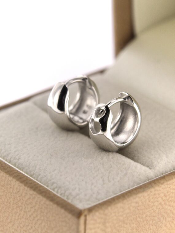 Hõbekõrvarõngad