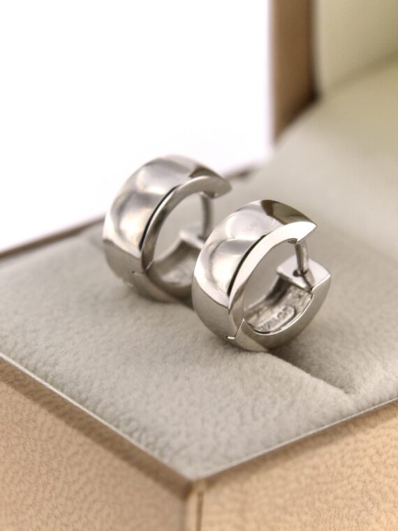 Hõbekõrvarõngad