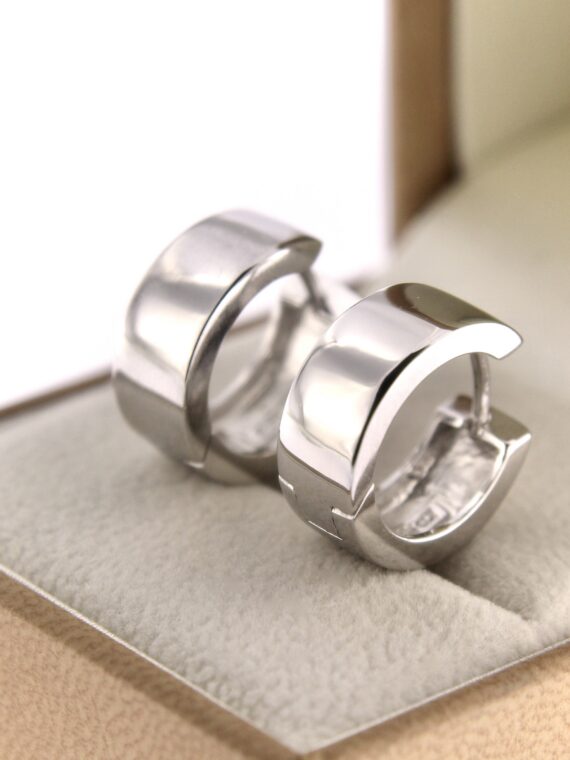 Hõbekõrvarõngad