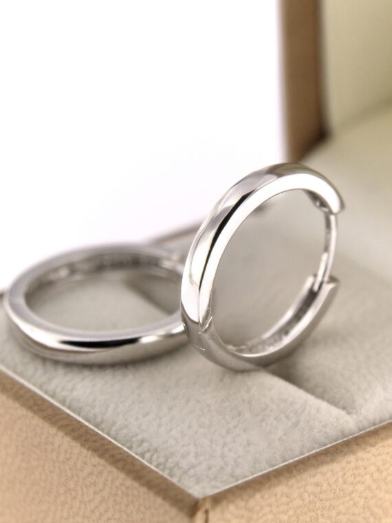 Hõbekõrvarõngad