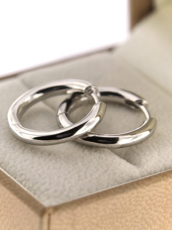 Hõbekõrvarõngad